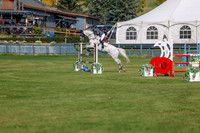2025 - Shea - Fall Finale - Sunday September 14th - 06003