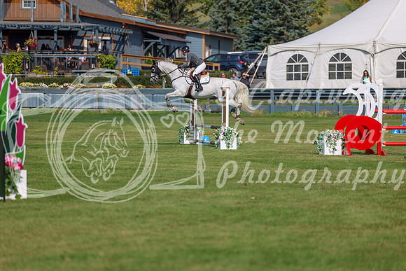 2025 - Shea - Fall Finale - Sunday September 14th - 06008