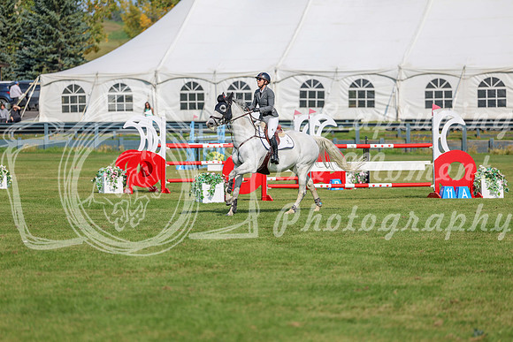 2025 - Shea - Fall Finale - Sunday September 14th - 06016
