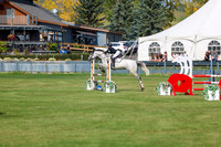 2025 - Shea - Fall Finale - Sunday September 14th - 08097