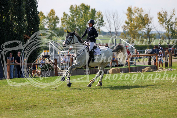 2025 - Shea - Fall Finale - Sunday September 14th - 08114