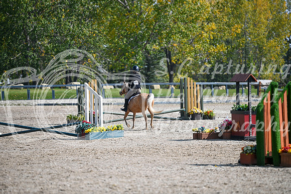 2025 - MJ - Fall Finale - Sunday September 14th - 18158