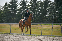2025 - Petra - Harvest Horse Show - Sunday, September 14th 11700