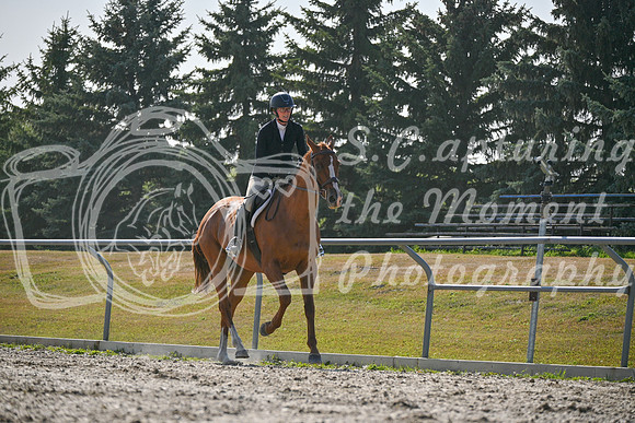 2025 - Petra - Harvest Horse Show - Sunday, September 14th 11700