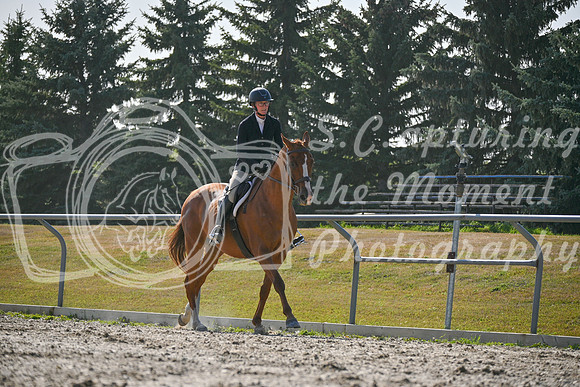 2025 - Petra - Harvest Horse Show - Sunday, September 14th 11702