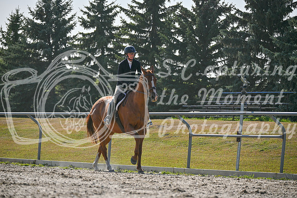 2025 - Petra - Harvest Horse Show - Sunday, September 14th 11701