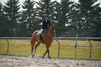 2025 - Petra - Harvest Horse Show - Sunday, September 14th 11703