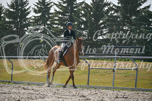 2025 - Petra - Harvest Horse Show - Sunday, September 14th 11703
