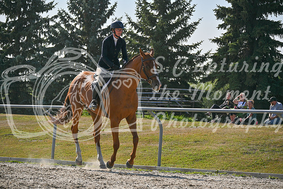 2025 - Petra - Harvest Horse Show - Sunday, September 14th 11704