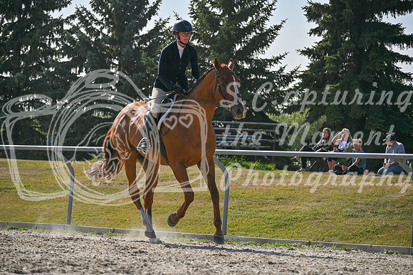 2025 - Petra - Harvest Horse Show - Sunday, September 14th 11705