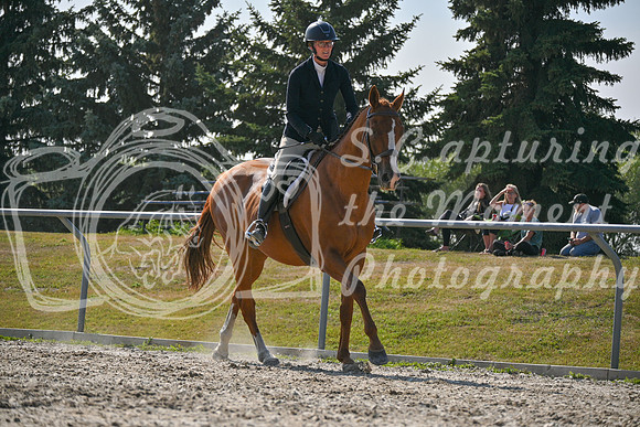 2025 - Petra - Harvest Horse Show - Sunday, September 14th 11707