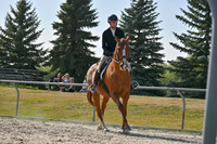 2025 - Petra - Harvest Horse Show - Sunday, September 14th 11708