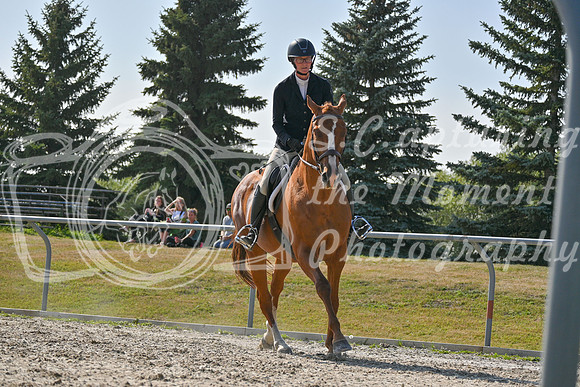 2025 - Petra - Harvest Horse Show - Sunday, September 14th 11708