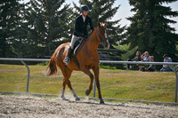 2025 - Petra - Harvest Horse Show - Sunday, September 14th 11706