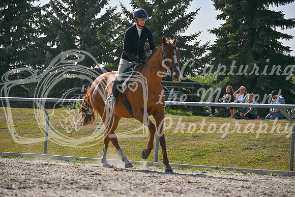 2025 - Petra - Harvest Horse Show - Sunday, September 14th 11706