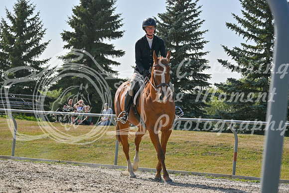 2025 - Petra - Harvest Horse Show - Sunday, September 14th 11709