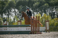 2025 - Petra - Harvest Horse Show - Sunday, September 14th 11710