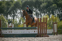 2025 - Petra - Harvest Horse Show - Sunday, September 14th 11712