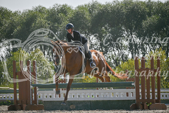 2025 - Petra - Harvest Horse Show - Sunday, September 14th 11716