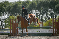 2025 - Petra - Harvest Horse Show - Sunday, September 14th 11718
