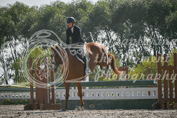 2025 - Petra - Harvest Horse Show - Sunday, September 14th 11718