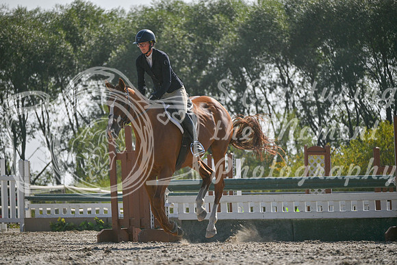 2025 - Petra - Harvest Horse Show - Sunday, September 14th 11720