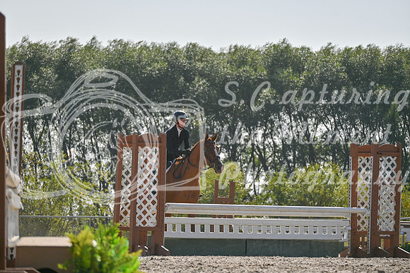 2025 - Petra - Harvest Horse Show - Sunday, September 14th 11722