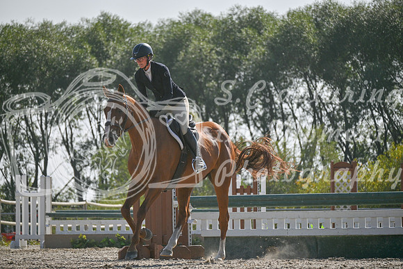 2025 - Petra - Harvest Horse Show - Sunday, September 14th 11721