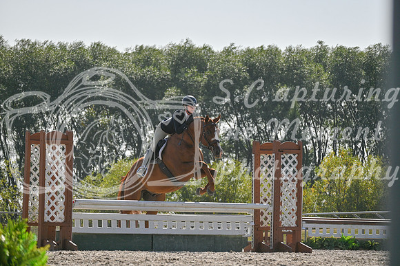 2025 - Petra - Harvest Horse Show - Sunday, September 14th 11726