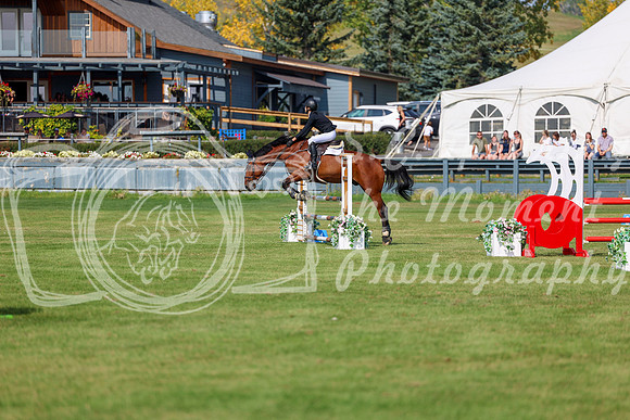 2025 - Shea - Fall Finale - Sunday September 14th - 08191