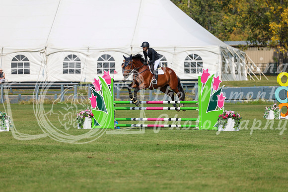2025 - Shea - Fall Finale - Sunday September 14th - 08200