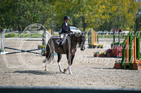 2025 - MJ - Fall Finale - Sunday September 14th - 18368
