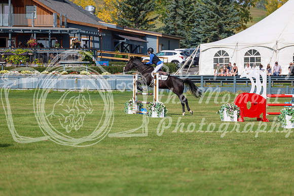 2025 - Shea - Fall Finale - Sunday September 14th - 08297