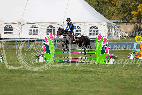 2025 - Shea - Fall Finale - Sunday September 14th - 08305