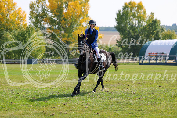 2025 - Shea - Fall Finale - Sunday September 14th - 08375