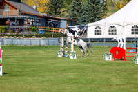 2025 - Shea - Fall Finale - Sunday September 14th - 07254
