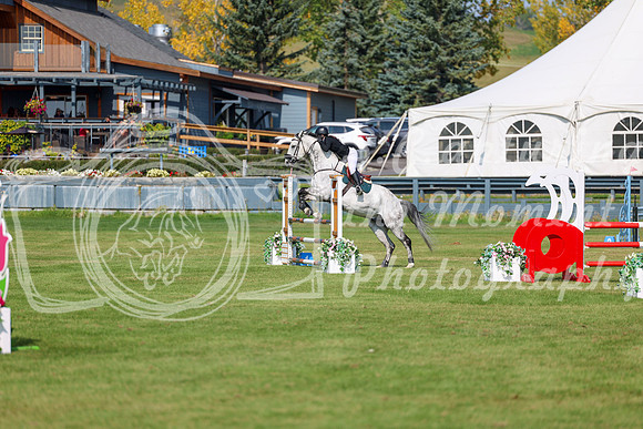 2025 - Shea - Fall Finale - Sunday September 14th - 07254
