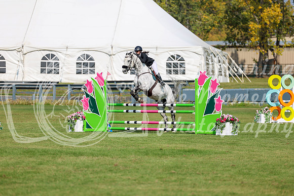 2025 - Shea - Fall Finale - Sunday September 14th - 07260