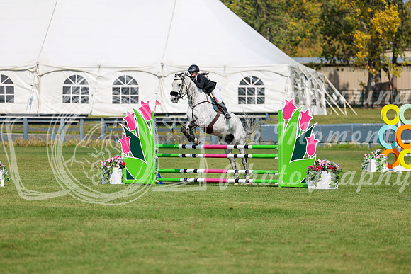 2025 - Shea - Fall Finale - Sunday September 14th - 07261
