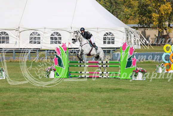 2025 - Shea - Fall Finale - Sunday September 14th - 07262