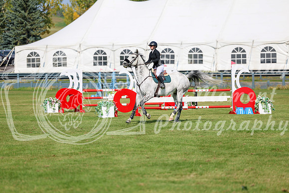 2025 - Shea - Fall Finale - Sunday September 14th - 07264