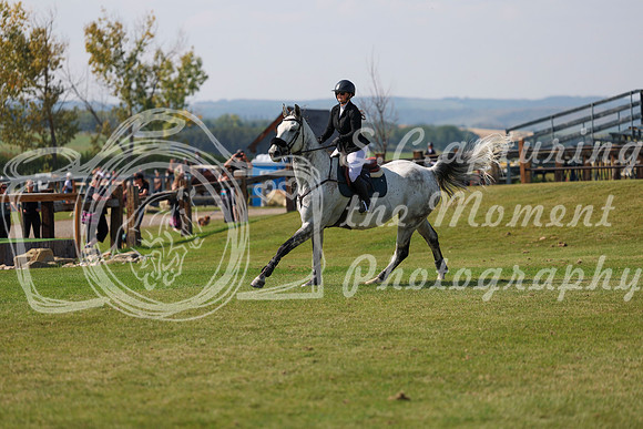2025 - Shea - Fall Finale - Sunday September 14th - 07275