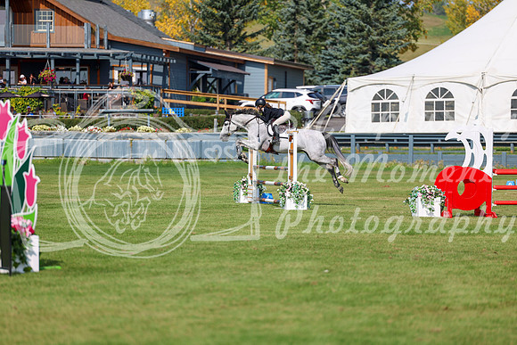 2025 - Shea - Fall Finale - Sunday September 14th - 07336