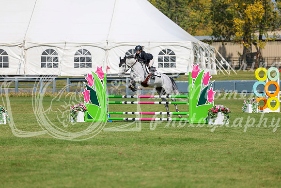 2025 - Shea - Fall Finale - Sunday September 14th - 07340