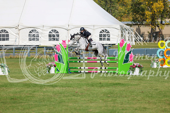 2025 - Shea - Fall Finale - Sunday September 14th - 07342