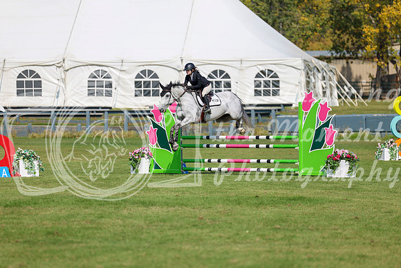 2025 - Shea - Fall Finale - Sunday September 14th - 07346