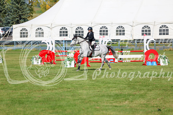 2025 - Shea - Fall Finale - Sunday September 14th - 07351