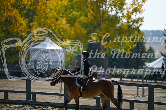 2025 - MJ - Fall Finale - Sunday September 14th - 16800