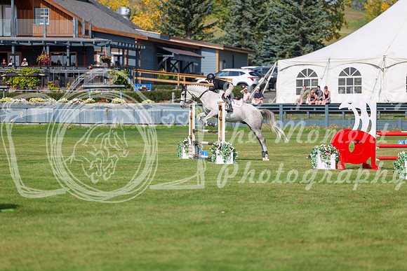 2025 - Shea - Fall Finale - Sunday September 14th - 07629