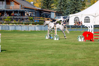 2025 - Shea - Fall Finale - Sunday September 14th - 07630